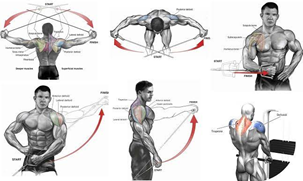 Shoulder Workouts With Cables