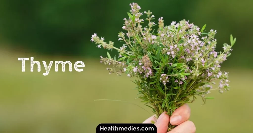 Thyme for tooth pain